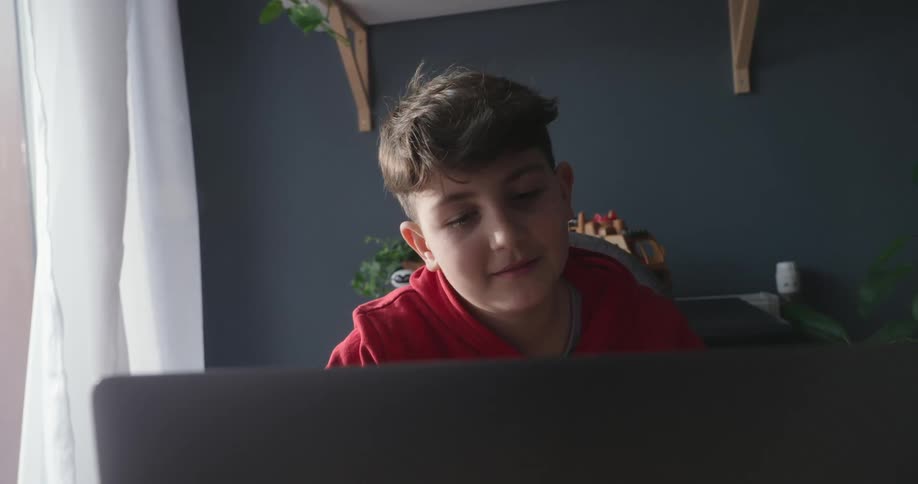 Boy with a red hoodie sits at desk using a laptop