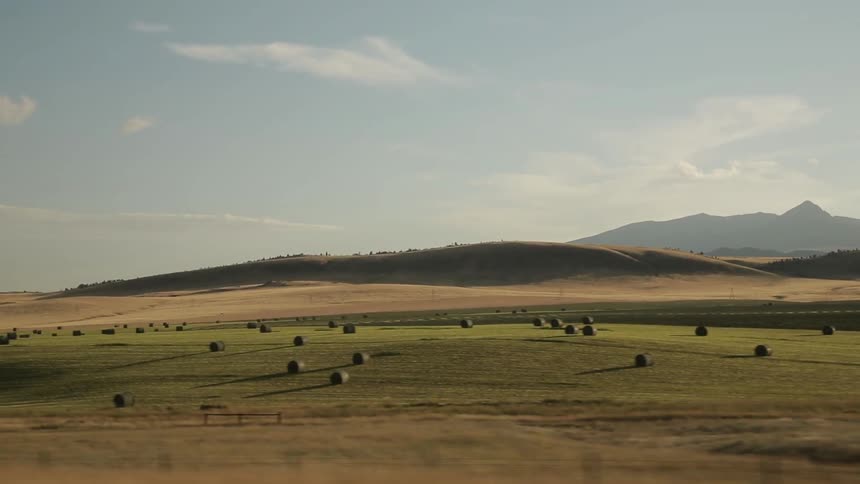 Hay bales in a green field