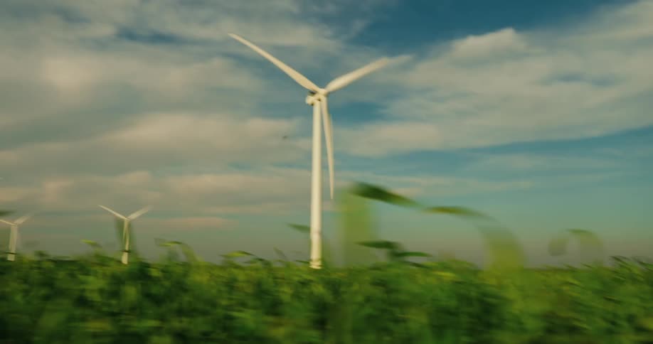 The white wind mills are spinning in the field of green plants