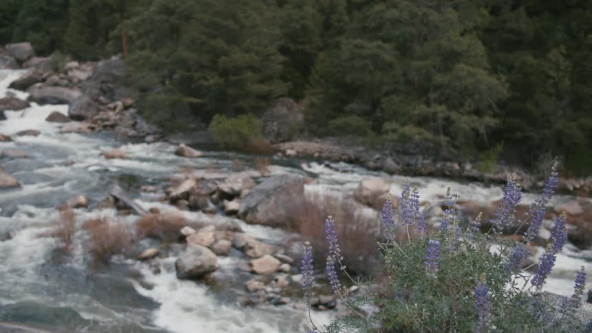 Water rushes down a river