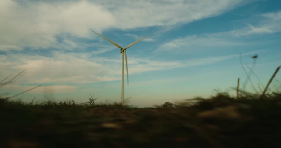Field with a large wind power platform
