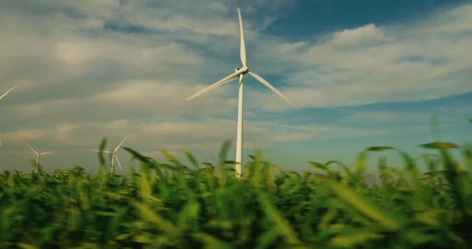 Wind turbines rotate above a green cornfield under a blue sky streaked with white clouds