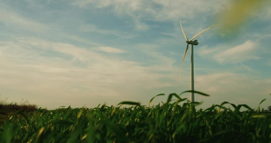 Blades of grass flowing in the wind on a wind farm