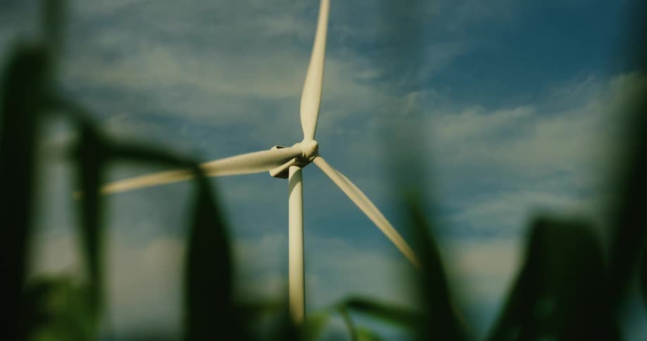 Agricultural field in the foreground and a wind turbine in operation in the background