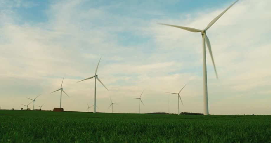 Rows of windmills turn on the green field