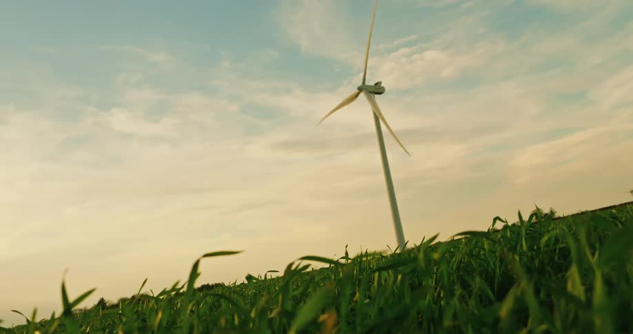 Wind turbine in an agricultural field