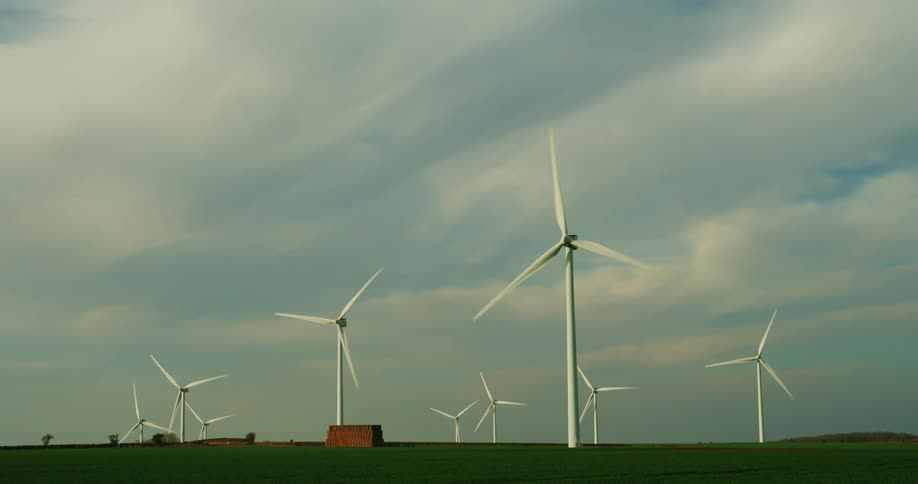 Rows of windmills spin on the field