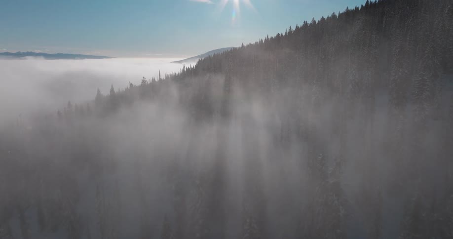 Aerial of fog hovering over trees in the mountain at dawn