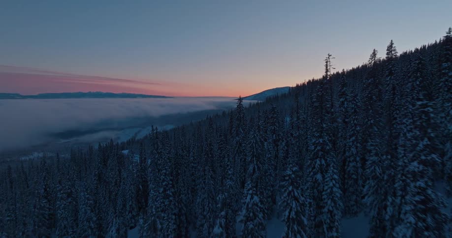 The sun is rising on the mountain covered in snow and trees
