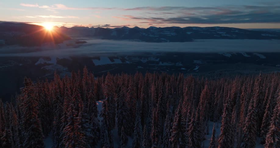 A sunrise peeks over distant mountain peaks casting a warm glow on a snowy landscape below including a forest of tall evergreens in the foreground