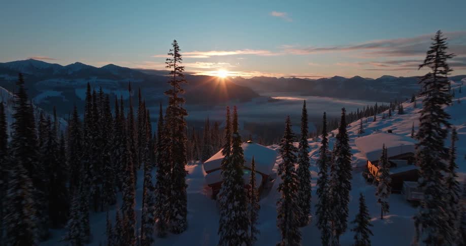 A landscape view of a forest of pine trees in a snowy surface and a dusk in the horizon