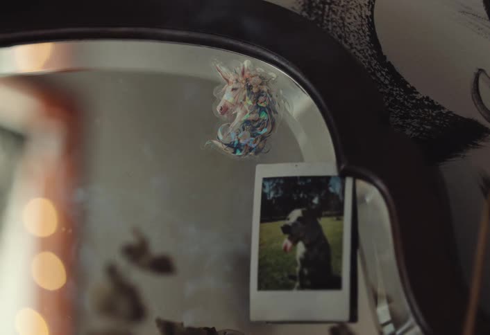Smoke rises in front of the mirror with a picture of a dog on it