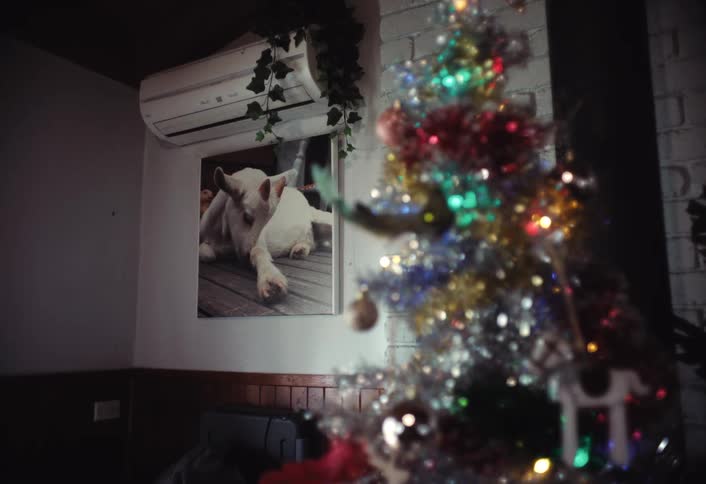 Christmas tree with blinking lights stands in a room decorated with a large picture of a goat