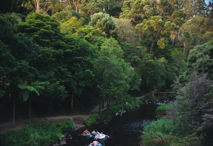 A group of people are riding inner tubes down a river