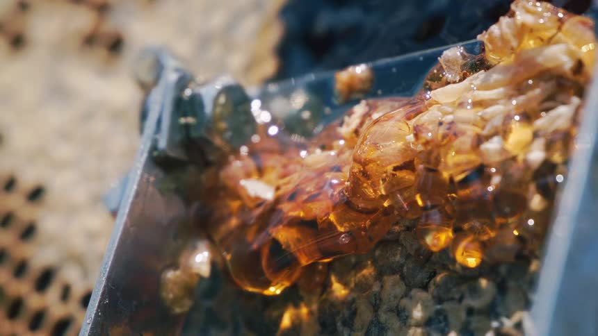 A blade scrapes across a honeycomb releasing honey drops that glisten in the sunlight on a bright day