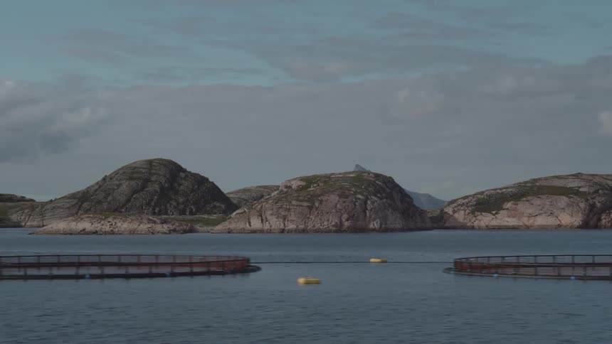 Circular fish pens are evenly distributed throughout the calm coastal waters some connected by ropes positioned amongst rocky sparsely vegetated island hills
