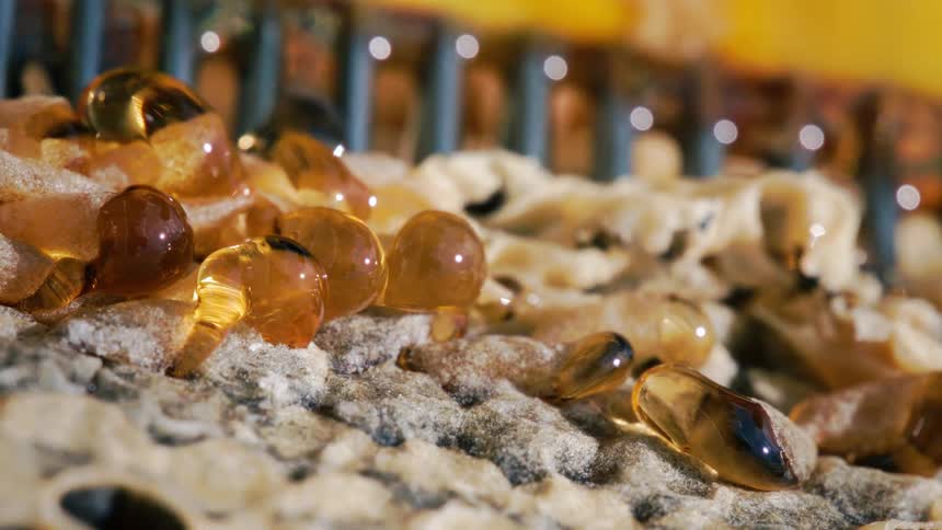 A metal instrument is used to meticulously uncap a honeycomb causing the launch of the glistening golden liquid honey to be clear to the viewer eye and is ready for harvesting
