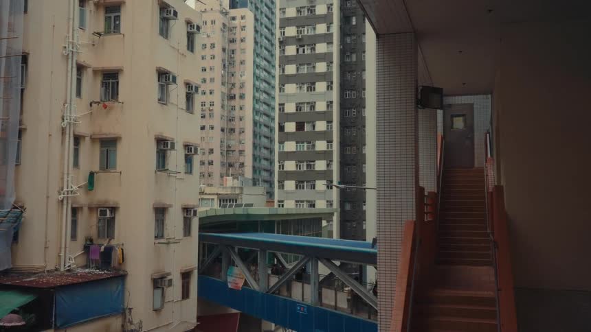 A bird flies from the top of the building