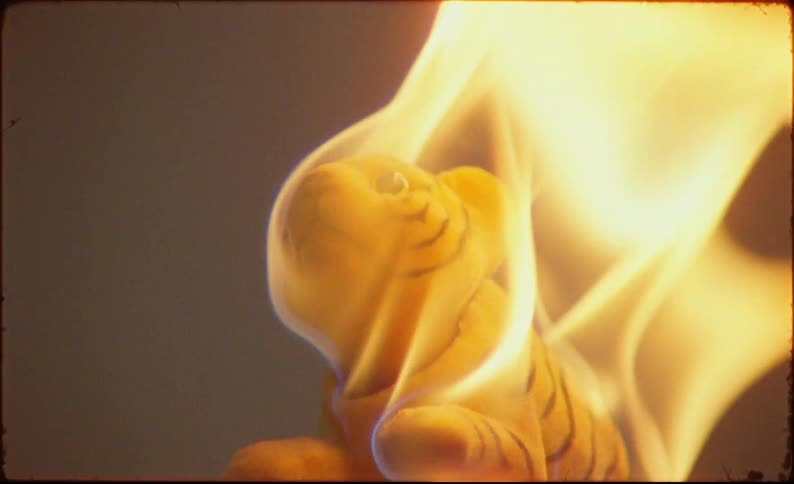 A stuffed animal tiger is set on fire