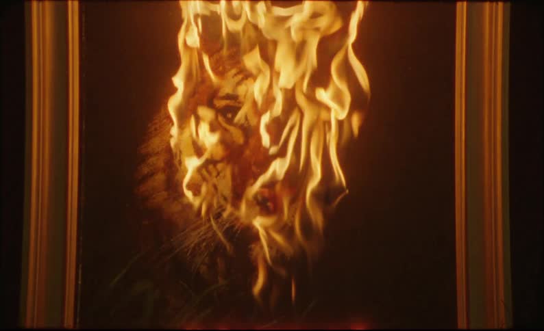 A Painting of a tiger burning in slow motion