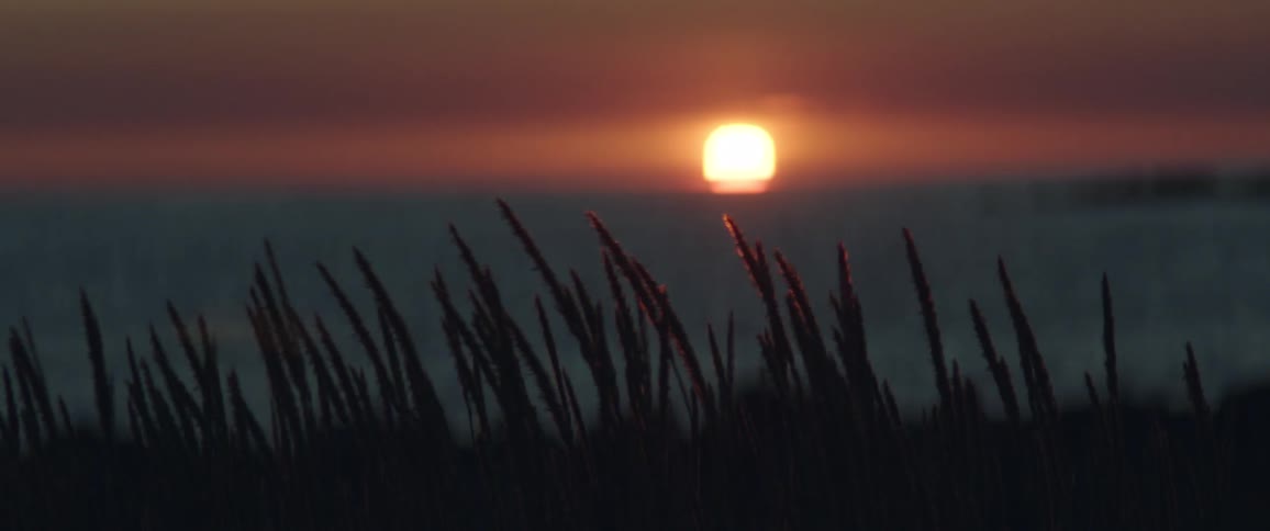 Grass in the foreground and the sunrise over the ocean in the background