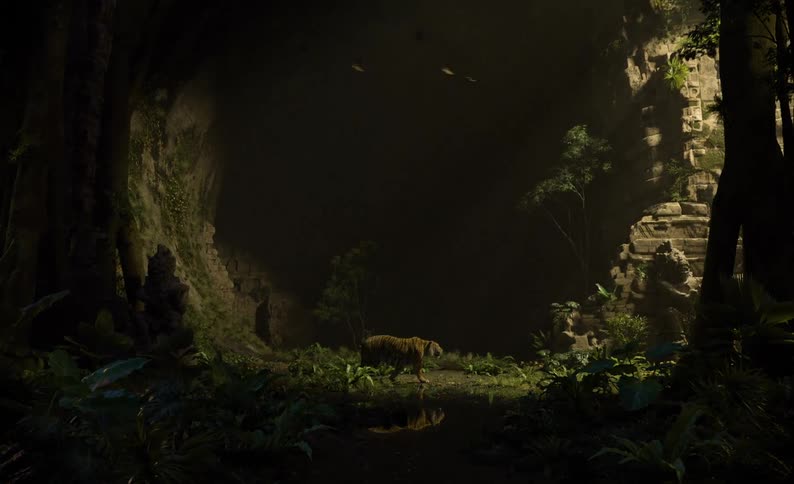 Birds fly over a tiger walking in the jungle at night