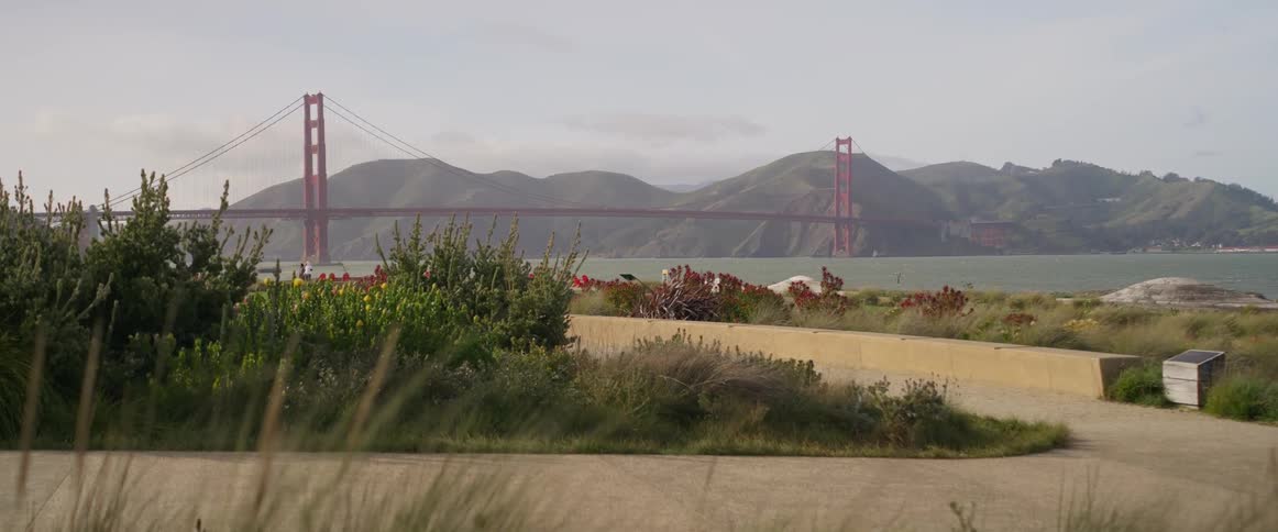 The golden gate bridge spans across the water in the distance framed by hills and vegetation in the foreground