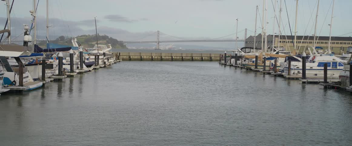 A city pier with docked boats
