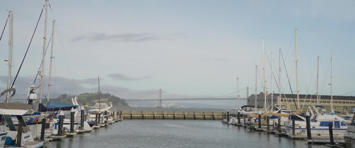 Boats docked in the marina