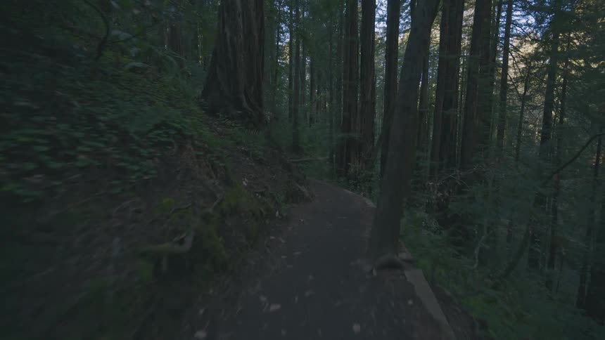 The nature trail is on a cliff