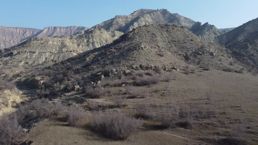 Bushes grow in a desert mountain landscape