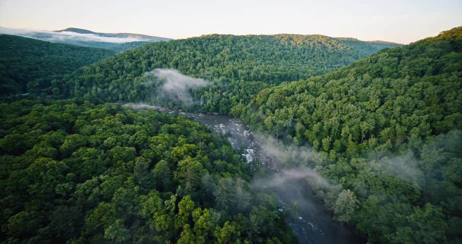 Aerial scene of a wide river between mountains with forest trees