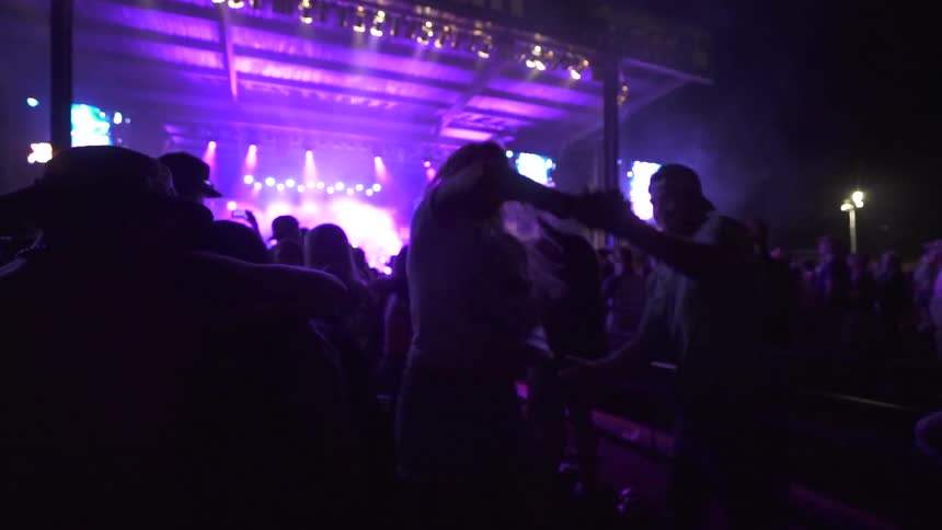 A vibrant concert scene with a crowd of people enjoying music under vivid purple stage lighting