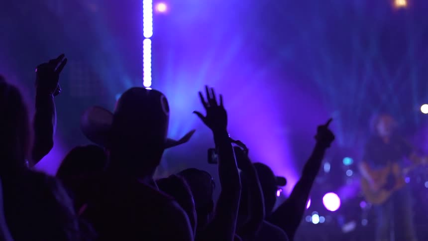 The crowd cheers for the musicians