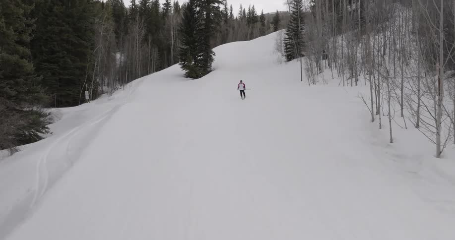 A man is skiiing down a mountain that has a forest on it
