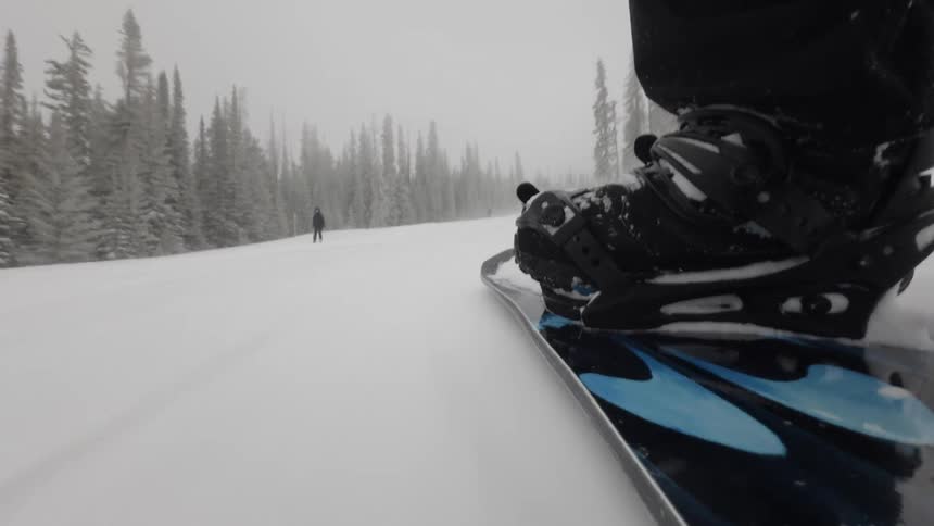 Person snowboards along snow covered ground passing between conifer forests on a winter day