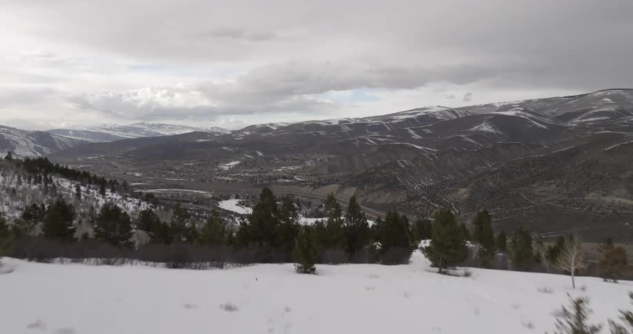 Aerial mountain landscape of snow and conifers