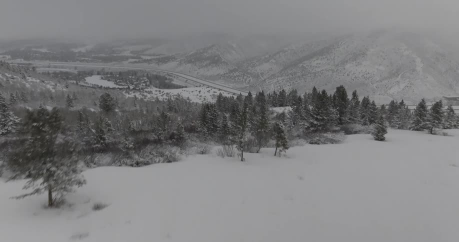 Aerial landscape of a vast mountain valley with snowcovered conifers on a foggy day