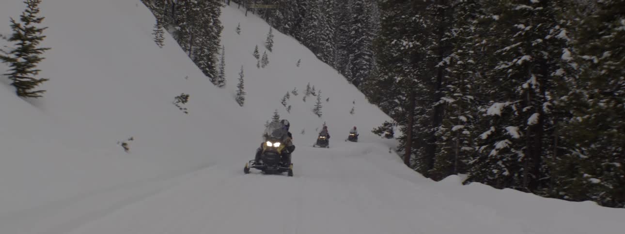 Three snowmobiles travel along a trail through a snowy and wooded landscape