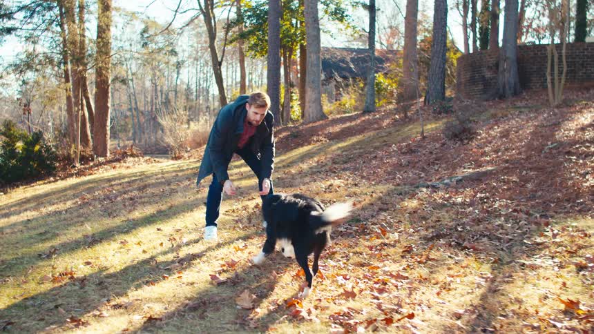 A man plays fetch with his dog on a leafcovered hill in autumn the dog dropping a small soccer ball as the man reaches for it