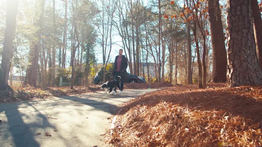 A man is walking his black and white dog on a forested trail on a sunny autumn day