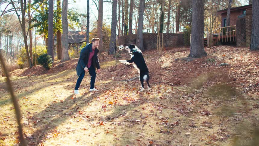 Man playing ball with his dog in the park