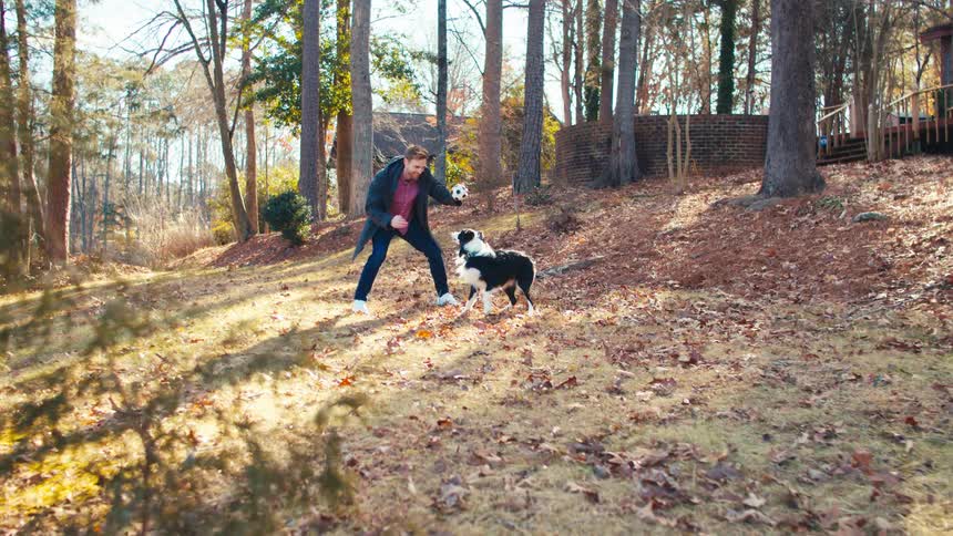 Playing outdoors in the wilderness with your dog and having fun