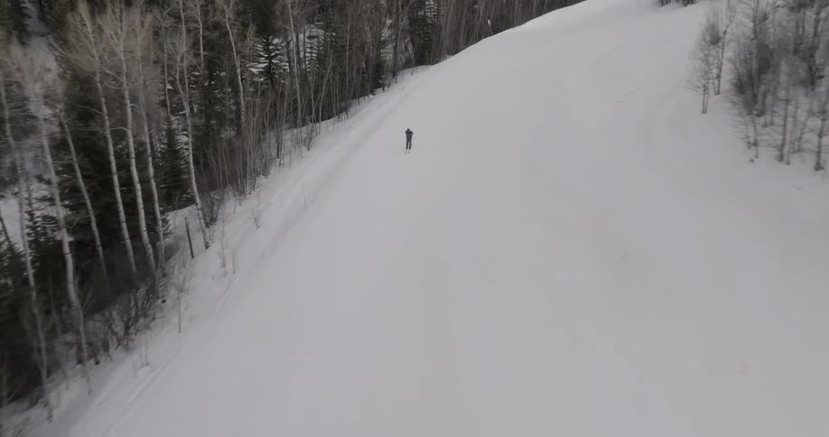 A skier glides along a snowy trail enveloped by a quiet forest of bare winter trees