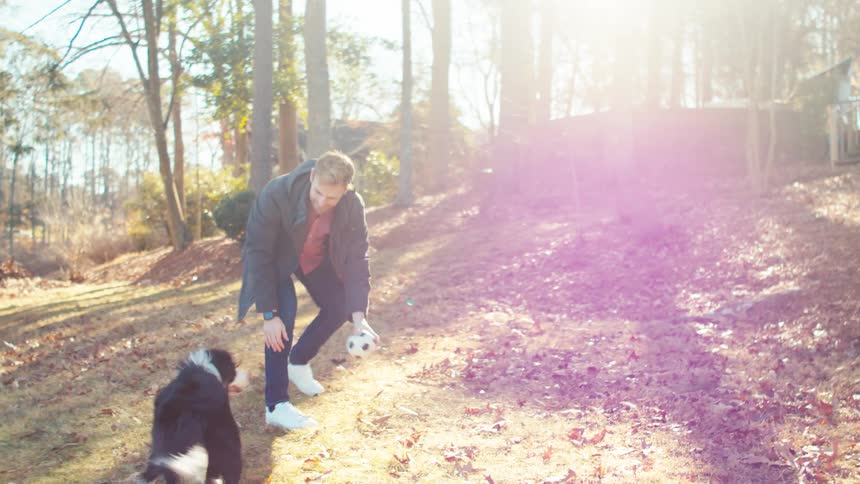 Boy playing ball with his dog in the park