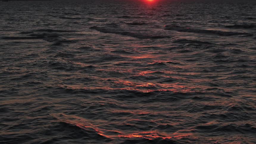 An aerial view captures the ocean waves at sunset with the water reflecting the red sunlight and a bird silhouetted flying by