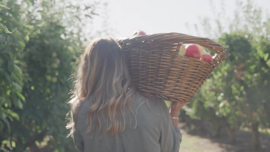 A woman with long wavy hair carries a woven basket filled with apples through an orchard