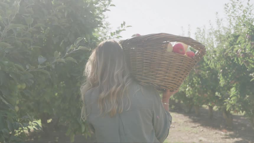 A footage of a person walking with the harvest from the garding