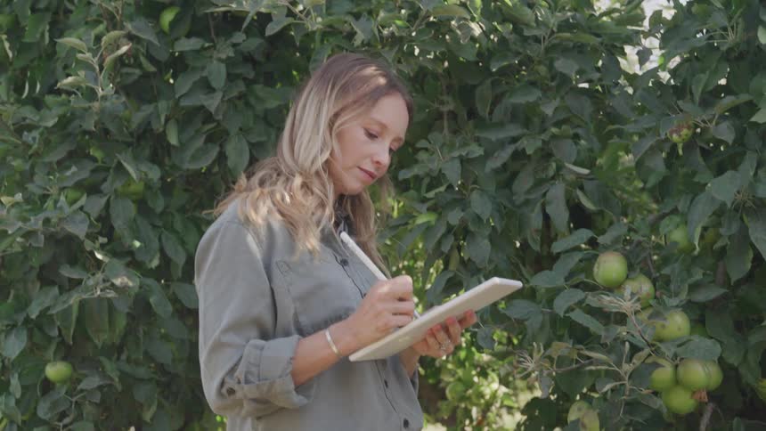 Girl checking fruit in an orchard writing things down