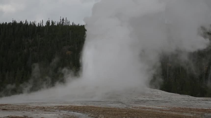 A geyser erupting with water and steam